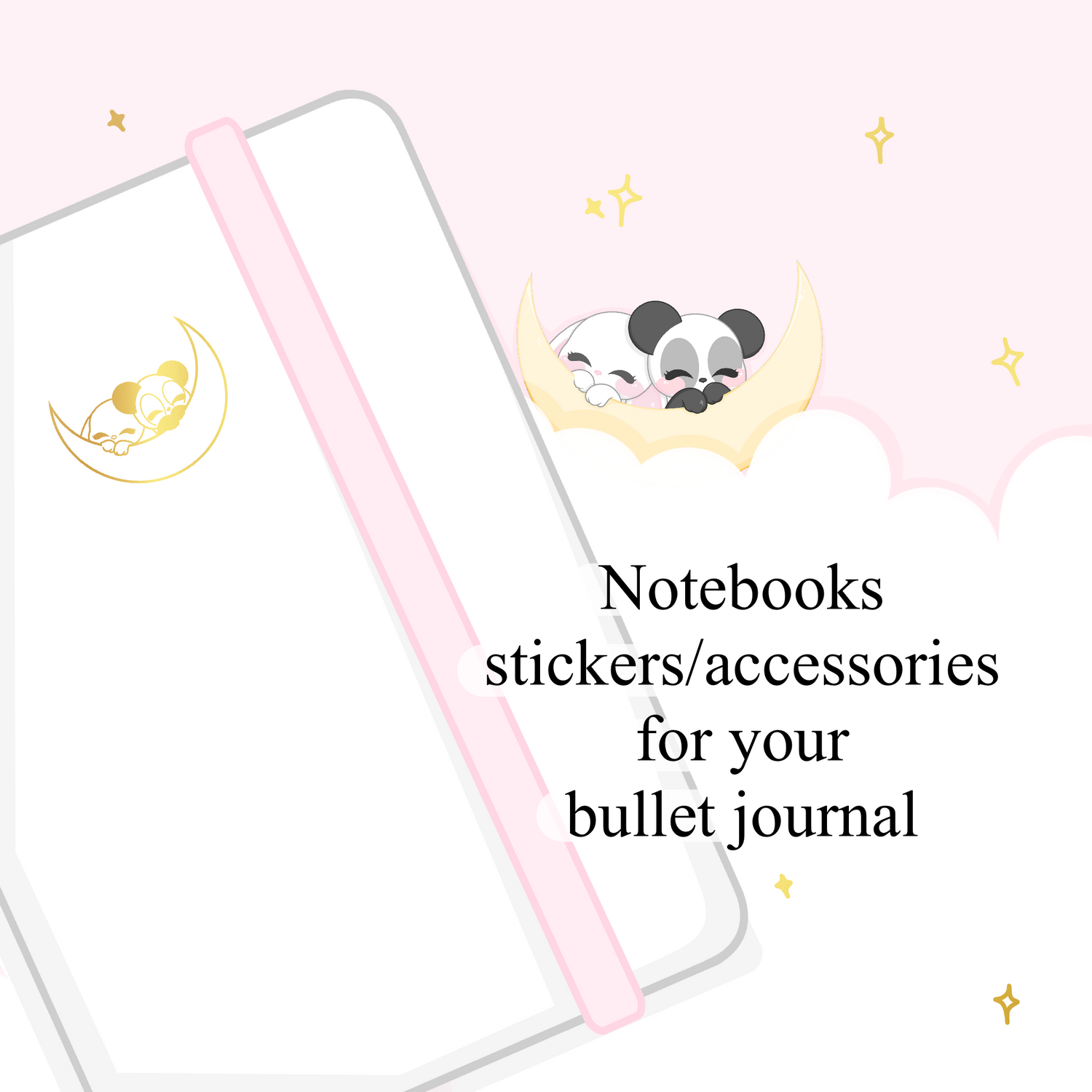 Notebook and accessories