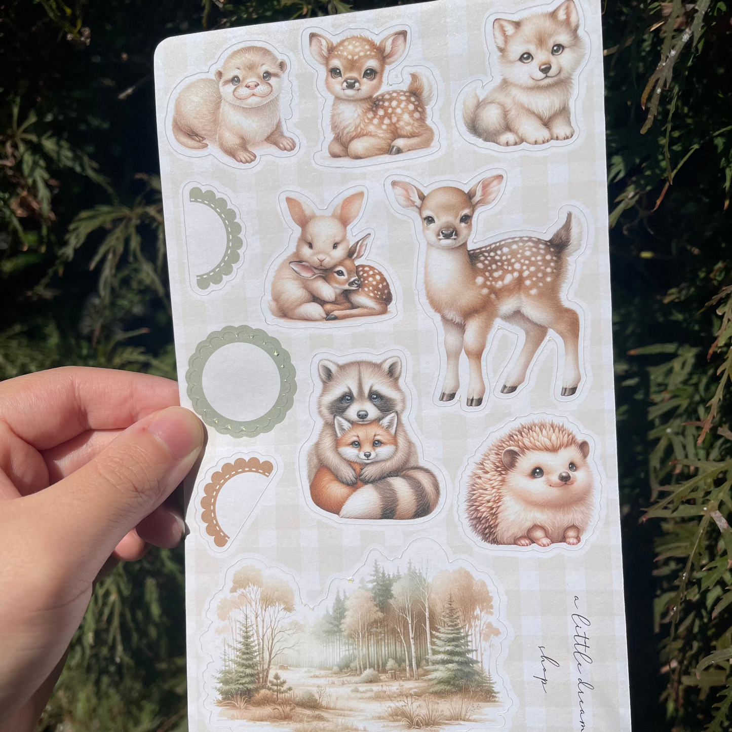 Woodland - Decorative Stickers kit